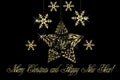 Christmas tree gold star flakes ornament Royalty Free Stock Photo