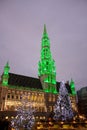 Christmas tree in Grand Place, Brussels Royalty Free Stock Photo