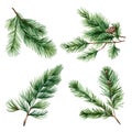 Christmas tree green fir branch watercolor paint on white for invitation greeting card design Royalty Free Stock Photo