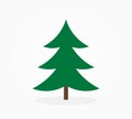 Christmas tree green spruce icon