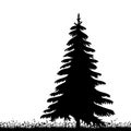 Christmas tree grows silhouette, on a white background