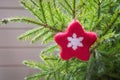 Christmas tree with handmade red felt star as decor. Xmas card. Close up. Copy space. Xmas. Royalty Free Stock Photo