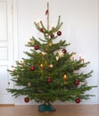 Christmas tree Royalty Free Stock Photo