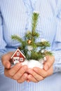 Christmas tree and house. Royalty Free Stock Photo