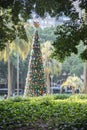 Christmas Tree: Hyde Park, Sydney