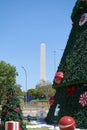 Christmas tree at Ibirapuera in Sao Paulo city. Royalty Free Stock Photo