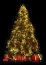 Christmas tree isolated on black Royalty Free Stock Photo