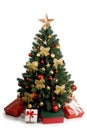 Christmas Tree isolated