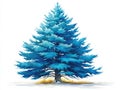 Christmas tree isolated outdoors Royalty Free Stock Photo