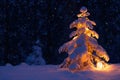 Christmas tree with a lantern in the snow in the woods. Royalty Free Stock Photo
