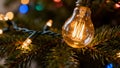 A Christmas tree with a light bulb hanging from it Royalty Free Stock Photo