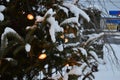 Christmas tree and lights, firs and snow Royalty Free Stock Photo