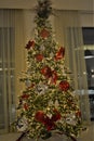 Christmas tree lights up building lobby in the evening Royalty Free Stock Photo