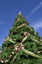Christmas Tree located at the Island in Piegeon Froge, Tn Royalty Free Stock Photo