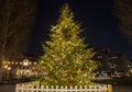 Christmas Tree in London Royalty Free Stock Photo
