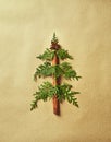 Christmas Tree made from Evergreen and Cinnamon Stick on brown paper Royalty Free Stock Photo