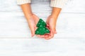 Christmas tree made of felt in hands on a white wooden background. Flat lay Royalty Free Stock Photo