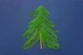 Christmas tree made from green fern twigs branches wood knot on dark blue background. New Year greeting card