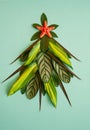 Christmas tree made of green leaves of tropical plants and red starfish on a light green background. Royalty Free Stock Photo