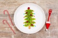 Christmas tree made of kiwi slices on wooden table. Royalty Free Stock Photo