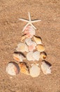 Christmas tree made of shells in the sand. Selective focus Royalty Free Stock Photo