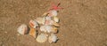 Christmas tree made of shells in the sand. Selective focus Royalty Free Stock Photo