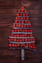 Christmas tree made of wooden branches and rowan berries Royalty Free Stock Photo