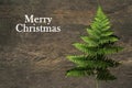 Christmas tree with Merry Christmas text on natural Christmas tree from green fern leaf on rustic wooden background. Royalty Free Stock Photo