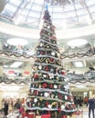 Christmas tree in Minsk