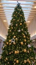 Christmas Tree In A Modern Architectural Building