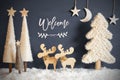 Christmas Tree, Moose, Moon, Stars, Snow, Text Welcome