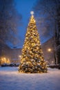Christmas tree with new year holiday decoration in a city street at night, houses with lights, winter, snow Royalty Free Stock Photo