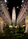 Christmas tree , New York Royalty Free Stock Photo