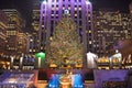 Christmas tree in New York