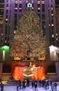 Christmas tree in New York