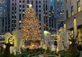 Christmas tree in New York. Rockefeller, festive.