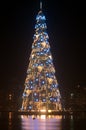 Christmas tree at night