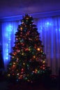 Christmas tree at night Royalty Free Stock Photo