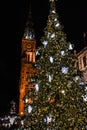 Christmas tree at night Gdansk Old Town, Poland Royalty Free Stock Photo