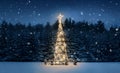 Christmas tree at night Royalty Free Stock Photo