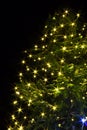 Christmas tree night with lights Royalty Free Stock Photo