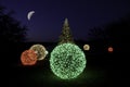 Christmas Tree at Night with the Moon