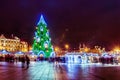 Christmas tree at night