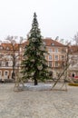 Christmas tree at Nowy Swiat in Warsaw Poland Royalty Free Stock Photo