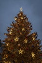 Christmas tree at Old Town Square, Prague, Czech Republic Royalty Free Stock Photo