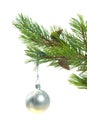 Christmas tree ornaments. Royalty Free Stock Photo