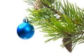 Christmas tree ornaments. Royalty Free Stock Photo