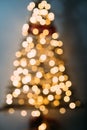 Christmas tree out of focus. Royalty Free Stock Photo