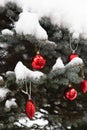 Christmas tree outdoors. Christmas tree covered with snow and decorated with red balls and stars Royalty Free Stock Photo