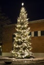 Christmas tree outside with snow and lights